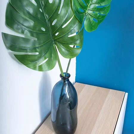 Hometimal - Le Bluebird - Center - Train Station Toulouse